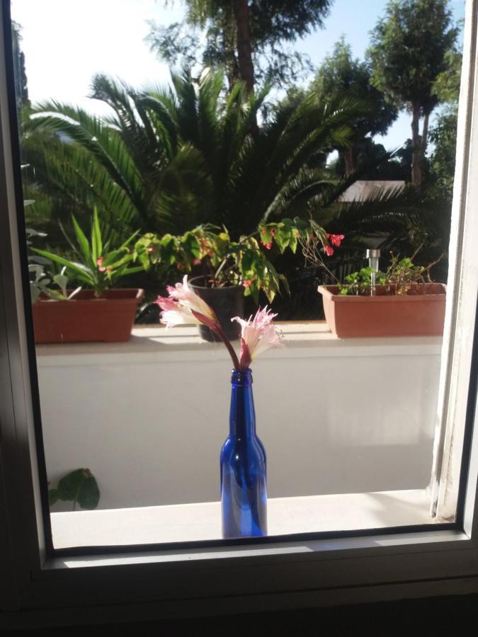 דירות לה לגונה Near Aiport מראה חיצוני תמונה
